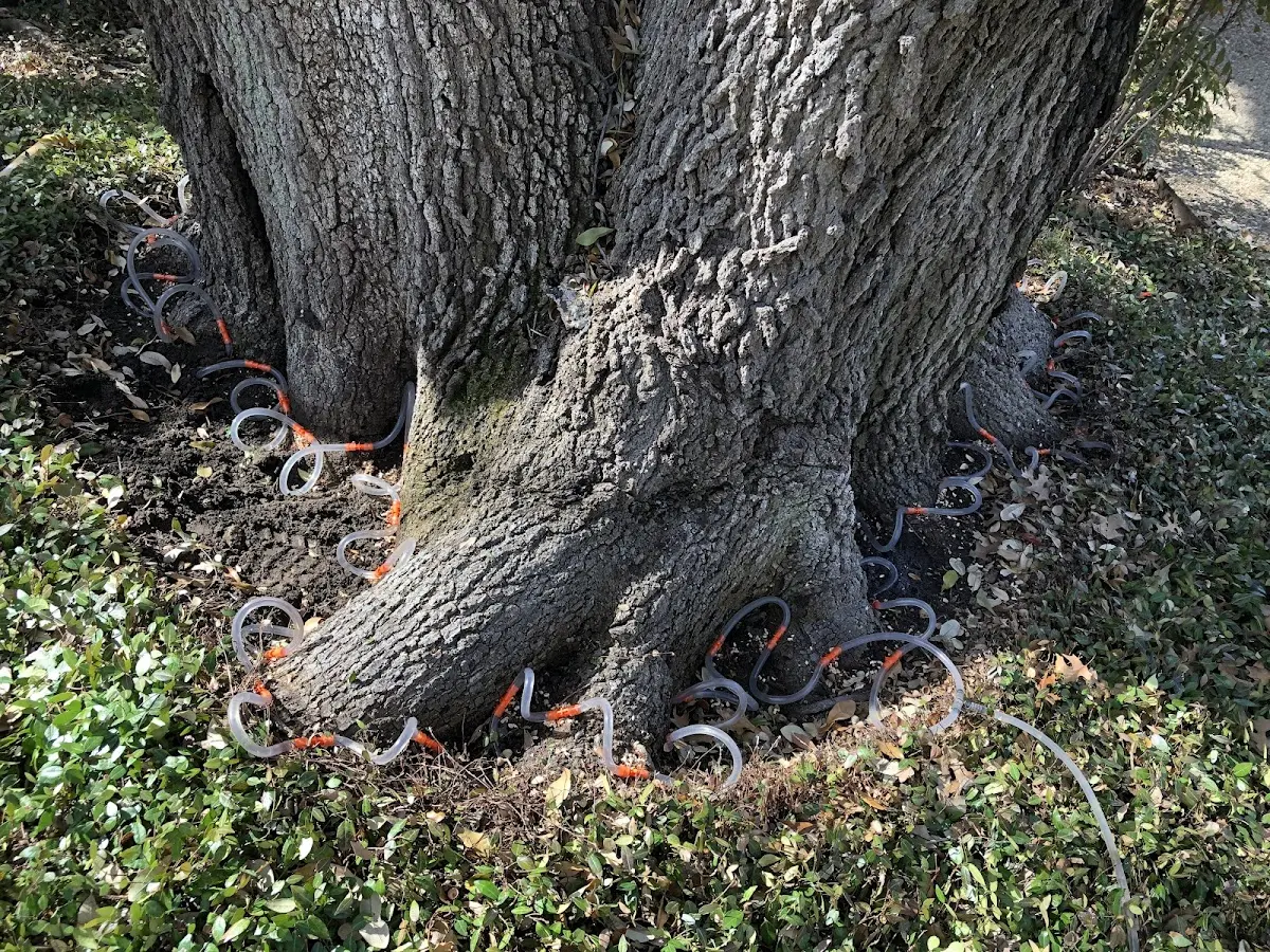 Detailed Shrub and Hedge Trimming job site in Godfrey