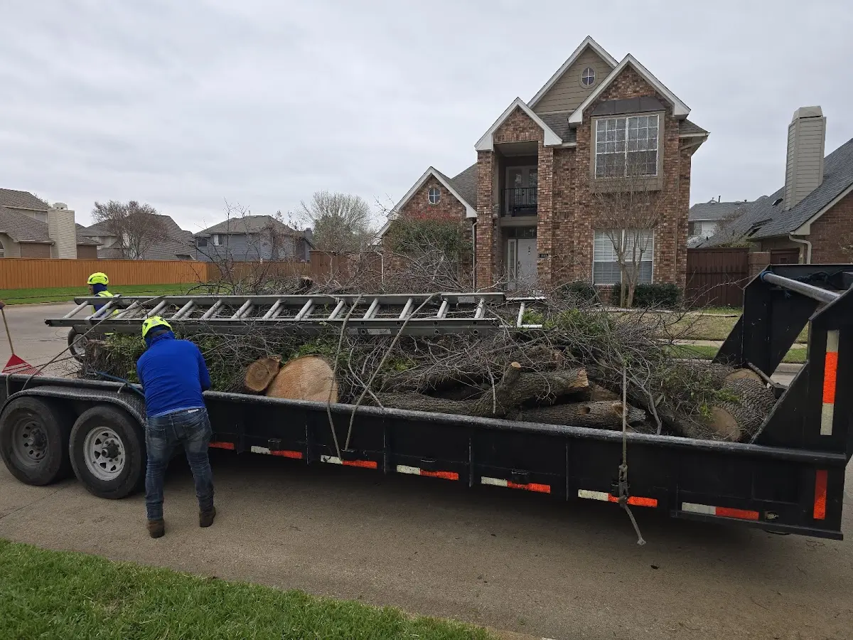 Expert Tree Pest Control with proper safety equipment in Godfrey